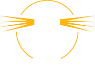 Logo of a white lighthouse with orange light beams radiating from its sides inside an orange circle